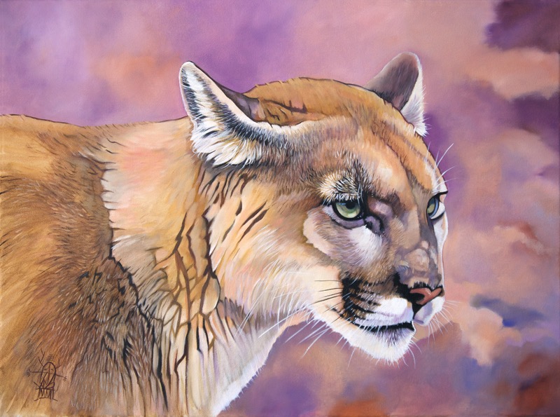 Cougar/ Catamount/ Mountain Lion/ Puma